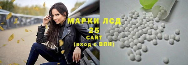 дживик Тобольск